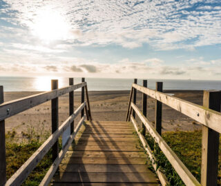 Singer Island Health