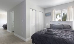Well-lit bedroom with a king-size bed